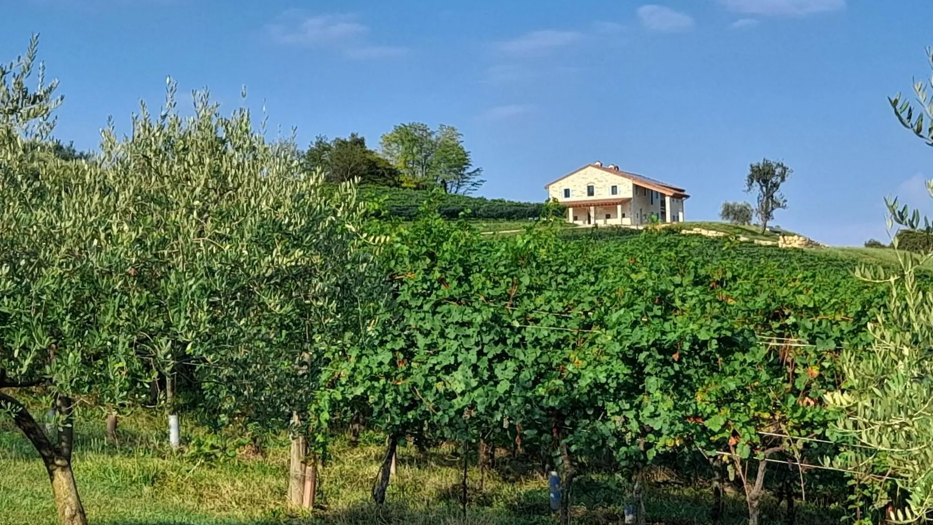 Agriturismo Riva Beata Cavaso Del Tomba Italy