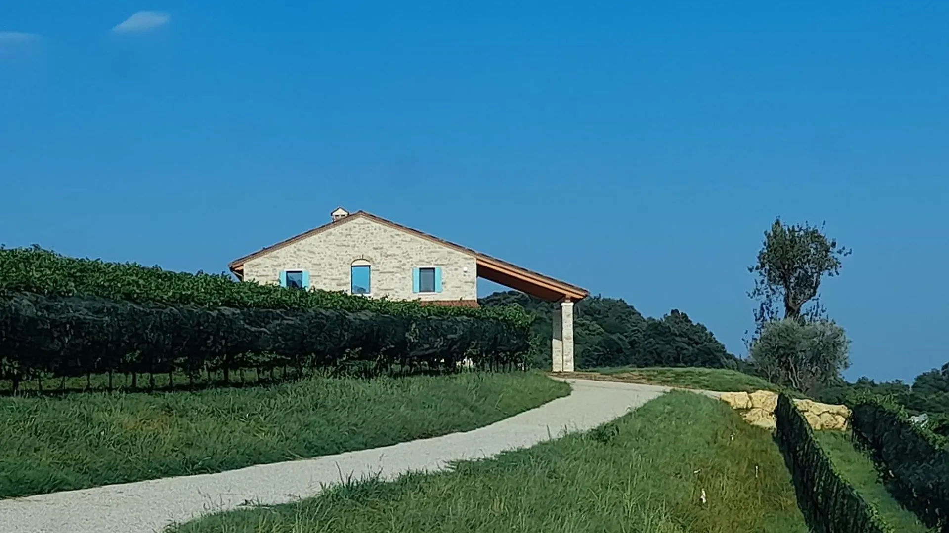 Agriturismo Riva Beata Cavaso Del Tomba 0*,  Italy