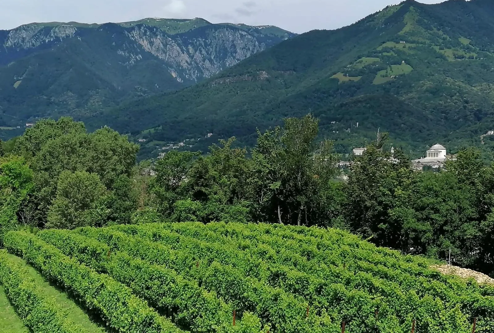 Agriturismo Riva Beata Cavaso Del Tomba
